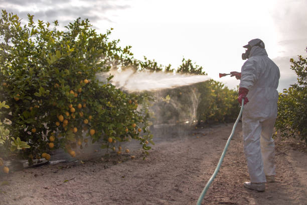 Reliable Fruit Hill, OH Pest Control Solutions